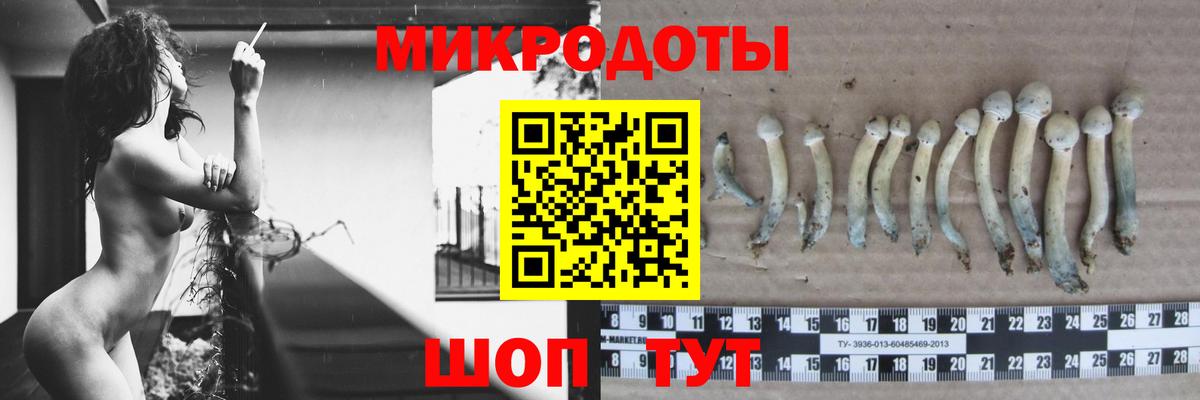 что такое   Вход с VPN  Галлюциногенные грибы MAGIC MUSHROOMS  Улан-Удэ  Галлюциногенные грибы Magic Shrooms 