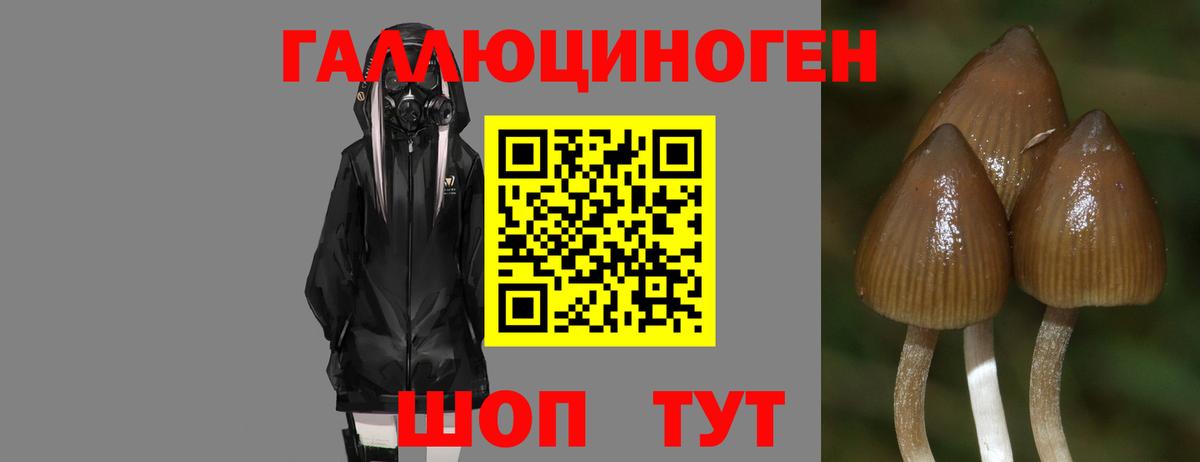 Галлюциногенные грибы MAGIC MUSHROOMS Улан-Удэ